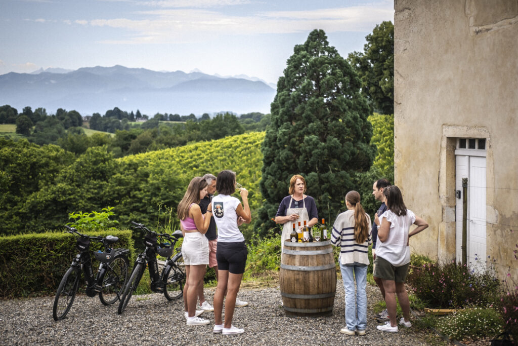 visite d'un domaine dans le jurançon avec des explications lors d'une dégustation de vin et balade à vélo dans les vignes